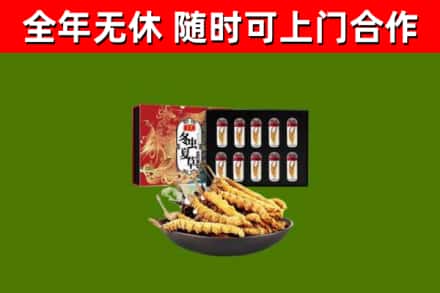 黄埔区烟酒回收冬虫夏草礼盒.jpg