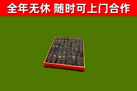 黄埔区回收海参